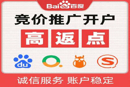 百度推广案例：成功打造行业领军品牌